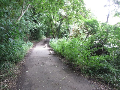 Photograph of Gravel Hill, Hemel Hempstead