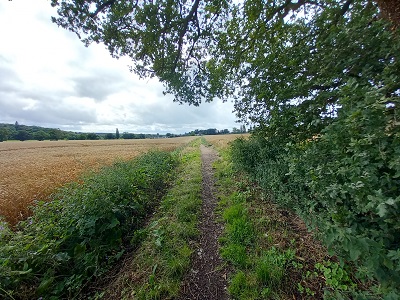 Photograph of Hertford 13