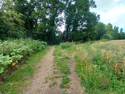 Photograph of Hertford 13