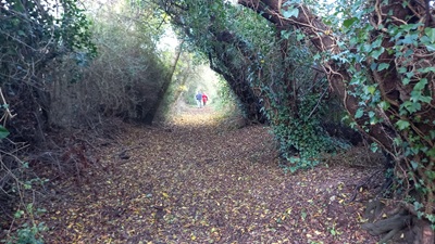 Photograph of Hertford Heath 2