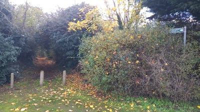 Photograph of Hertford Heath 2