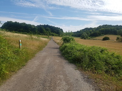 Photograph of Hexton 2 path