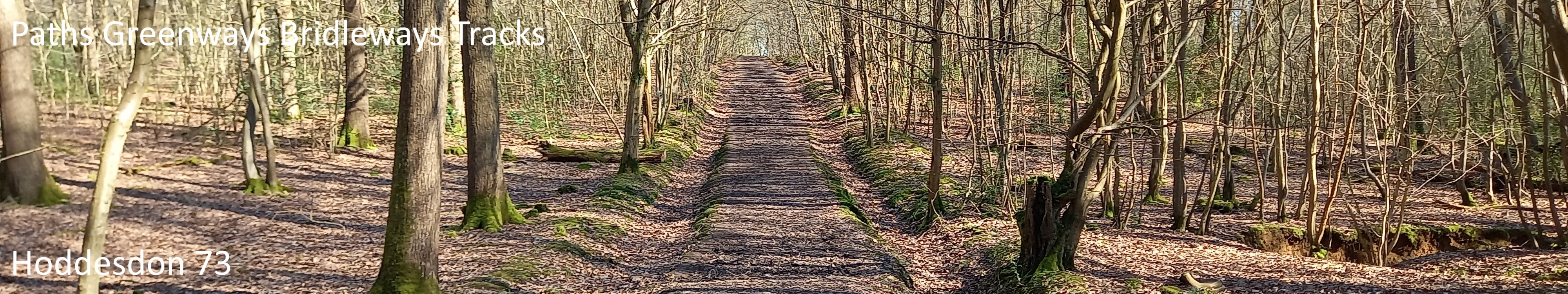 image of Hoddesdon 73 bridleway taken in 2025 showing well defined track through the woods
