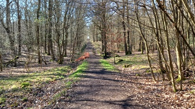 Photograph of Hoddesdon 73 bridleway