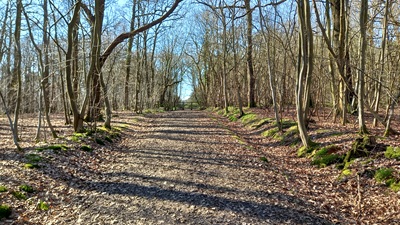Photograph of Hoddesdon 73 bridleway