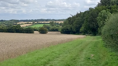 Photograph of St Pauls Walden 20 and Kimpton 21