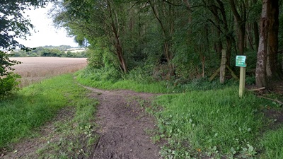 Photograph of St Pauls Walden 20 and Kimpton 21