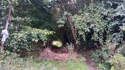 Photograph from Farrs Lane