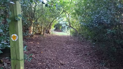 Photograph of Kings Walden 49