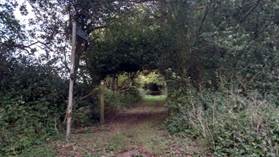 Photograph of Kings Walden 49