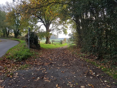 Photograph of Knebworth 30