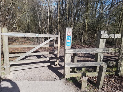 Photograph of Letchworth Greenway section 27