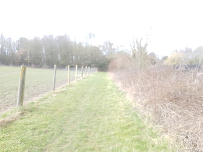 Photograph of Letchworth Greenway section 27