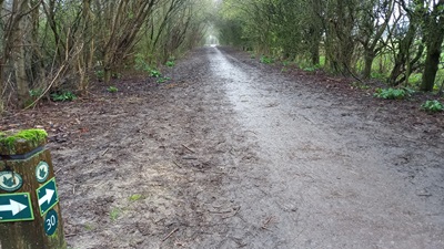 Photograph of Letchworth Greenway section 30