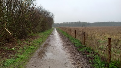 Photograph of Letchworth Greenway section 30