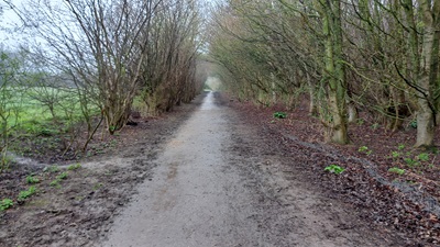 Photograph of Letchworth Greenway section 30