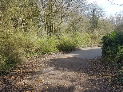 Photograph of Letchworth 23 on Letwchworth Greenway