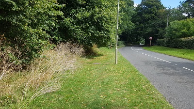 Letchworth 4