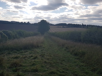 Lilley 13 Kingshill Lane