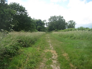 Lilley 27 photograph