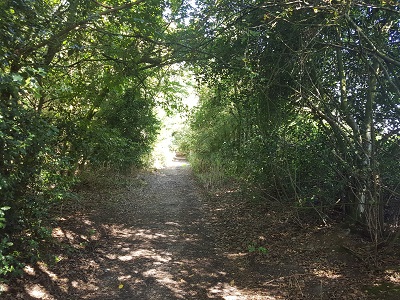 View along the route