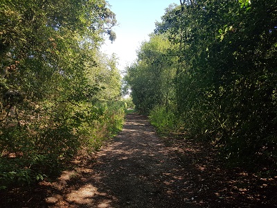 View along the route