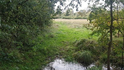 Little Hadham