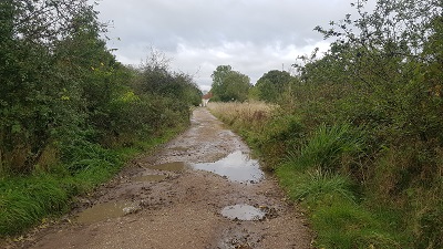 Little Hadham 10