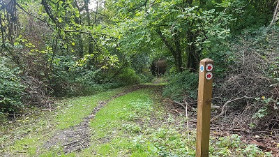 Little Hadham 12