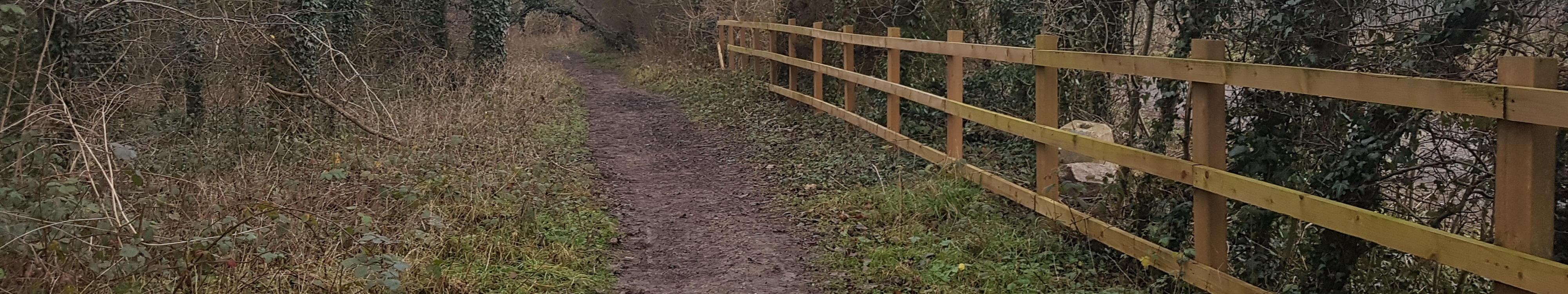 Image of London Colney 37 bridleway taken in 2021 showing path with trees and a fence