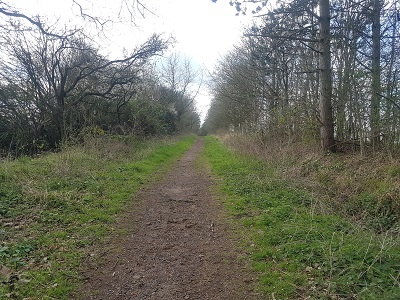 Photograph of Luton 38