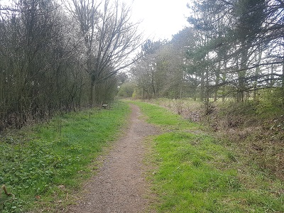 Photograph of Luton 38