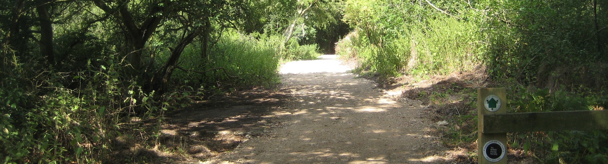 Image of Northaw 17 taken in 2015 showing track through woods