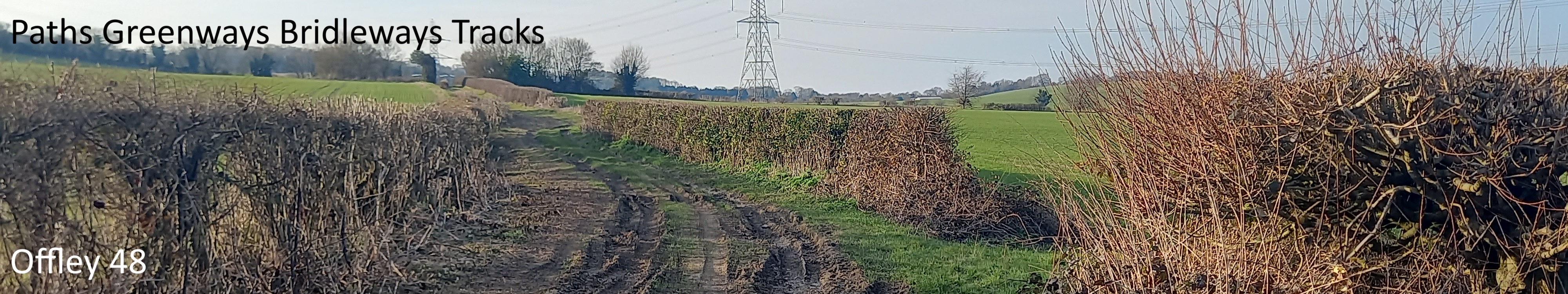 image of Offley 38 taken in March 2025 showing path with hedges either side