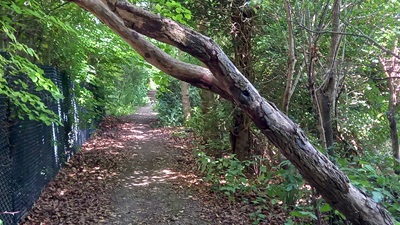 View along Pirton 20, close to western end
