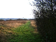 Photograph of South Mimms 50 bridleway