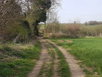 Photograph of Preston 17