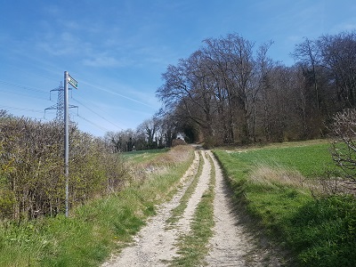 Photograph of view from western end of Preston 8