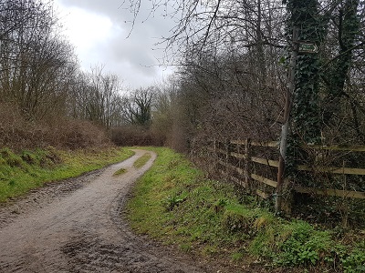 Photograph of Rickmansworth 10 spur bridleway