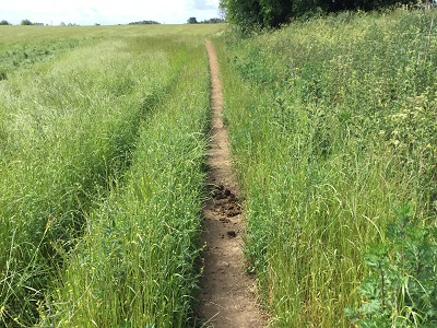Route from Rickmansworth 19 to Shepherd's Lane