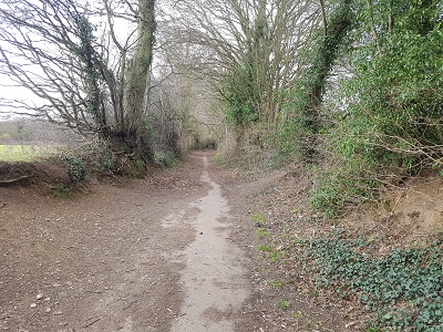 Photograph of Rickmansworth 61 bridleway