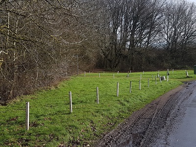 Photograph of Metropolitan Common Land CL25
