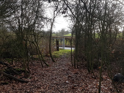 Photograph of Metropolitan Common Land CL25