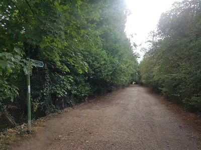 Photograph of Ridge 2 from Eastern end
