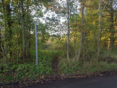 Photograph of Ridge 21