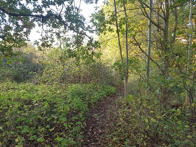 Photograph of Ridge 21