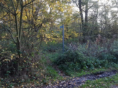 Photograph of Ridge 21