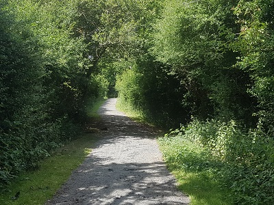 Photograph of Ridge 27