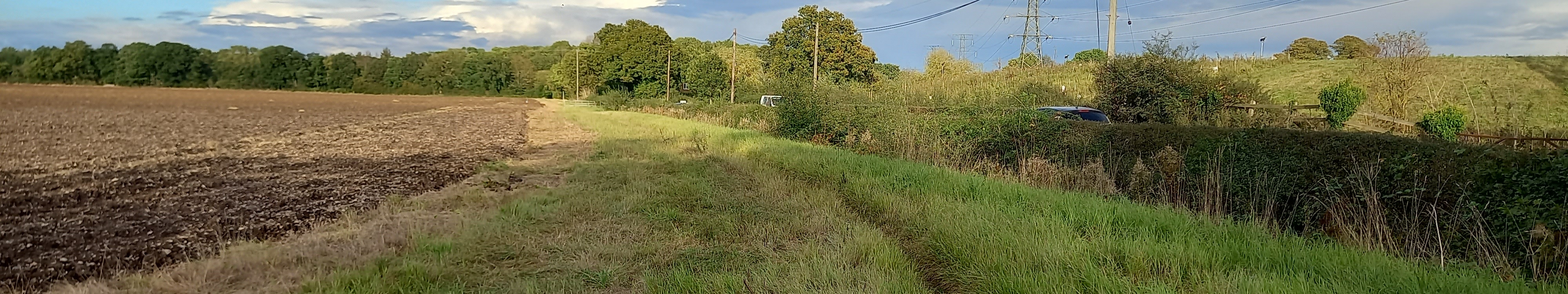 Image of Ridge 32 bridleway taken in 2023 showing grass track between the cultivated field and the hedge