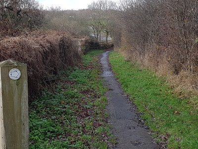 Photograph of Ridge 34